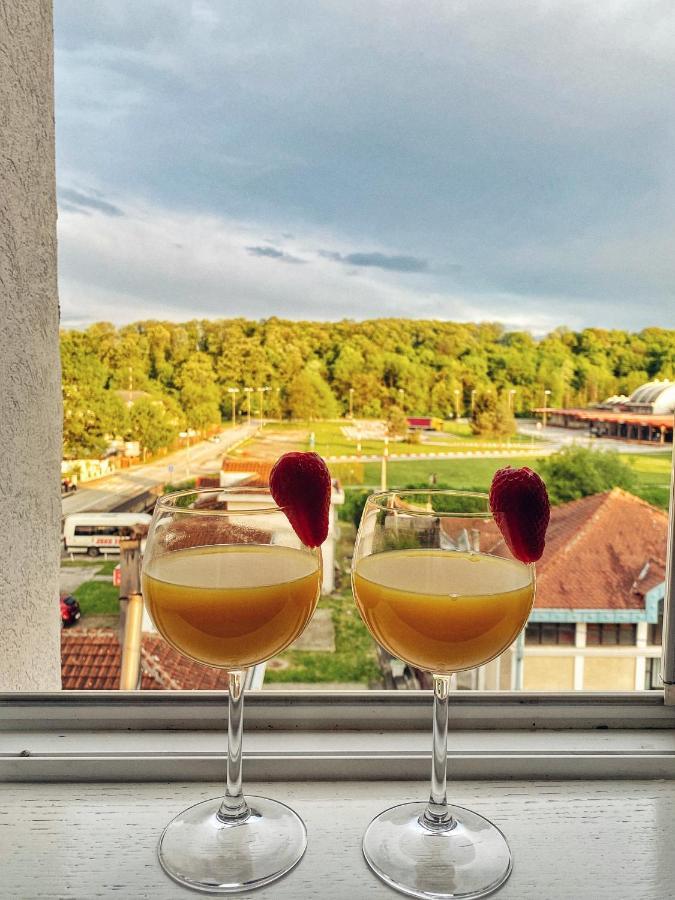 Apartmani Banja Spa Vrnjačka Banja Exterior foto